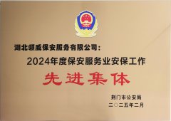 喜報(bào)！領(lǐng)威保安榮獲“2024年度保安服務(wù)業(yè)安保工